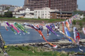 少々疲れる・・・ 画像1