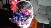 お花とお豆 画像1