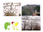 寒い････。 画像1