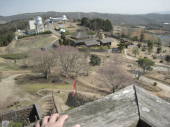 no title 画像2