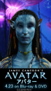 ＡＶＡＴＡＲ