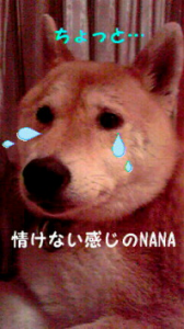 ☆どちらかと言うと・・(*-゛-) う゛～ん 画像2
