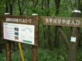雨で残念！