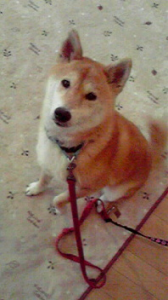 ☆そんなこんなで・・☆ 画像1