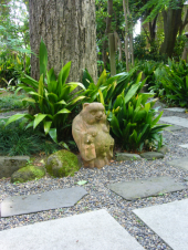 木更津自衛隊 画像2