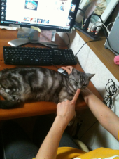 →：営業泣かせの季節… 画像1