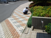 夏風邪 画像1