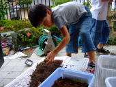 カブト虫の幼虫と、∞へワープ！ｗ 画像2