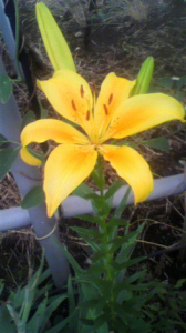 蒸し暑い夜だけど 画像3