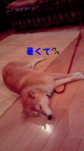 ☆ありがとうございましたーーーー♪ 画像2