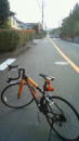 朝だけど、ヒルクライム。