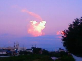 依存ゼロ・・・♪ 画像1