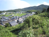 no title 画像3
