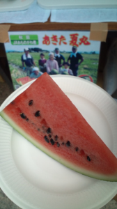 ひとめぼれ。秋田。 画像2