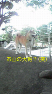 ☆逃亡者NANA ＼(゜ロ＼) (／ロ゜)／ 画像2