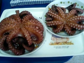 タコ＆サバ釣り 画像3