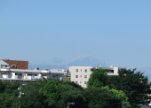人間だもの 画像1