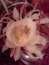 ☆捕獲ーーー！！！ 画像3