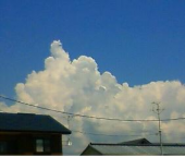 大切なこと・・・♪ 画像1