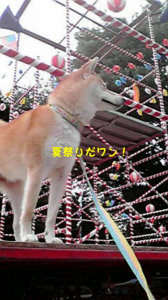 ☆何の仕事ですか？ 画像1