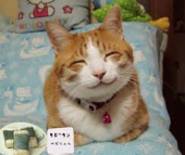 笑いの日。 画像1