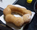 １８日目