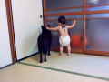 ちかれたビィーッ