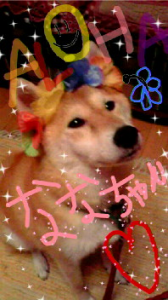 ☆背中フェチ・・・？(*/ェ＼*) ｨﾔﾝ 画像1