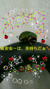 ☆くだらな日記（餃子戦争・・・） 画像2