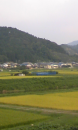 今日も田舎へ