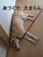 ☆午後からスィッチＯＮ！。+゜ヾ(o゜∀゜o)ノ。+゜☆ 画像1
