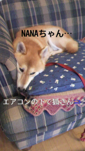 ☆蘇る記憶（記録）・・・・？ 画像1