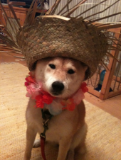 ☆吐きます！(ーー;) 画像3