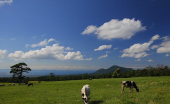 山にいってきました 画像1
