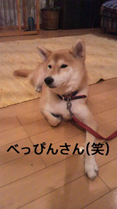 ☆衣装にデコします☆ 画像1