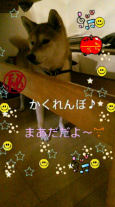 ☆月曜日は・・・ 画像2