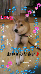 ☆白黒はっきり！ 画像3
