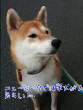 ☆工工エエェェェェｪｪｪ(ﾟДﾟ)ｪｪｪェェエエエ工工 ！ 画像1
