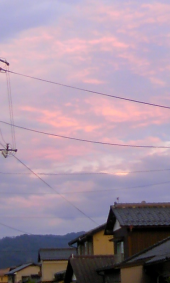 久しぶりの海o(^-^)o 画像2