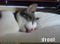 眼科
