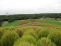 海の近くの草木の公園