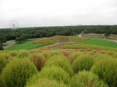 海の近くの草木の公園 画像1