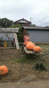 ☆ハロウィン？(((( ；゜Д゜))) 画像2