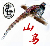 あし。  画像2