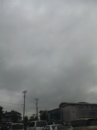 付き合いで
