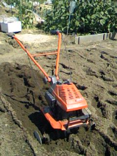 畑仕事 画像1
