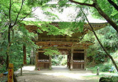 紀三井寺 画像1
