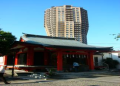 元麻布　氷川神社　 例大祭・神幸祭（神輿連合渡御）