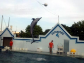 しながわ水族館へ 画像2