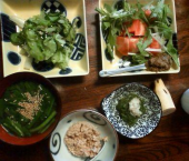 okko's14 （；ω；）1350 < 1650 cal借金返済あぁ先が見えない。 画像1